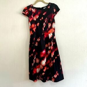 Calvin Klein Black Cap Sleeve Fit  and Flare Dress With Artistic Bursts of Color